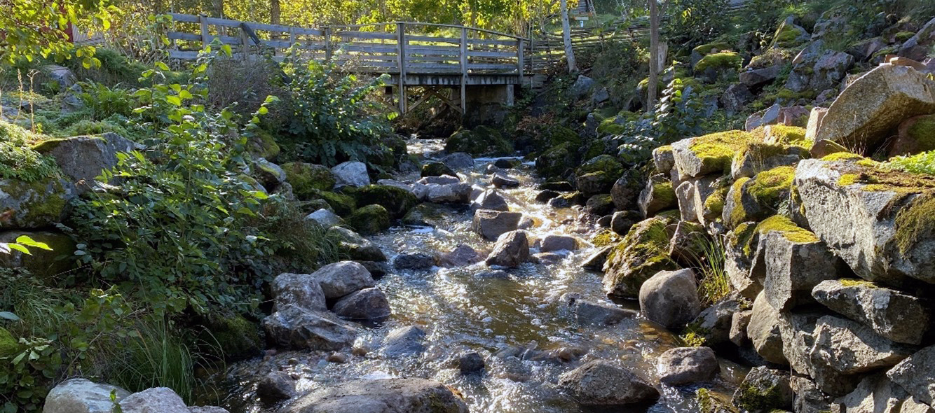 Bergshamraån EFTER